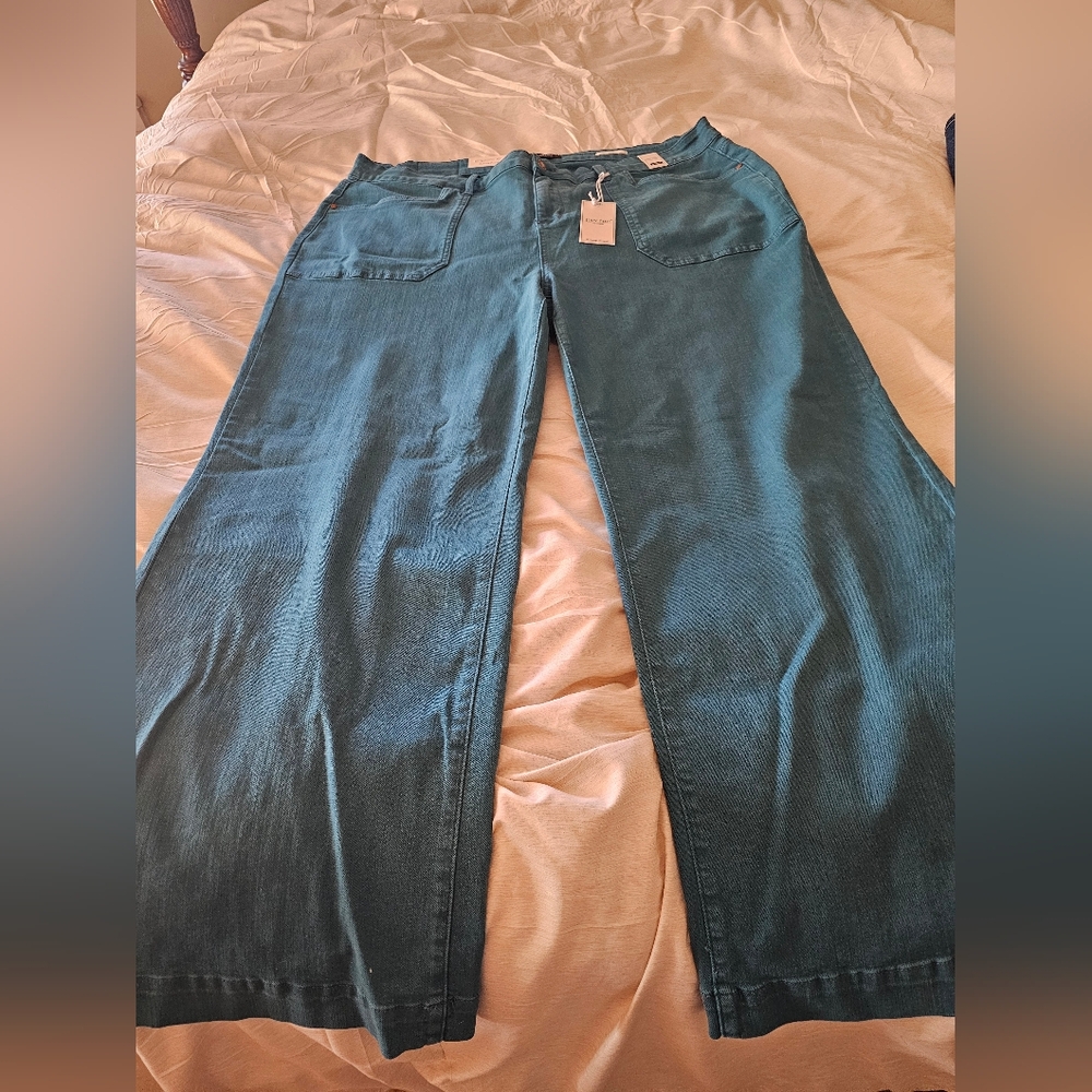 Judy Blue Teal Mid-Rise Jeans NWT 24W - Picture 4 of 6